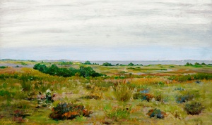 William Merritt Chase, The Blown Thistle, Long Island, Painting on canvas