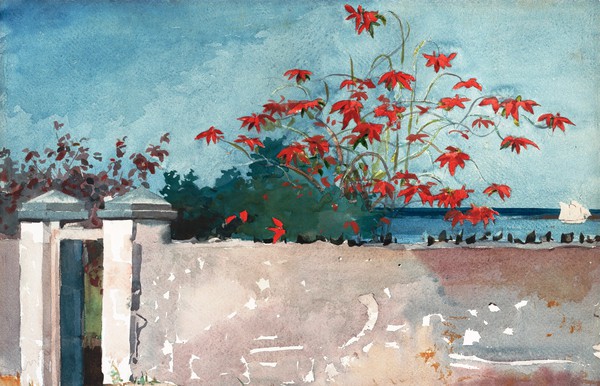 A Wall, Nassau. The painting by Winslow Homer