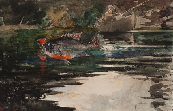An Unexpected Catch. The painting by Winslow Homer