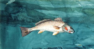 Winslow Homer, Channel Bass, Painting on canvas