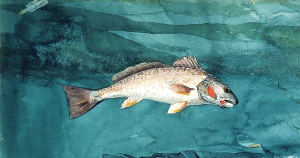 Channel Bass. The painting by Winslow Homer