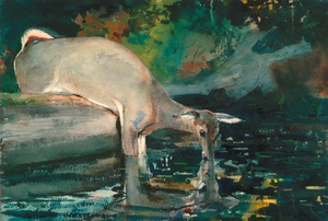 Famous paintings of Animals: Deer Drinking