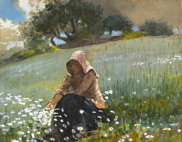 Girl with Daisies. The painting by Winslow Homer