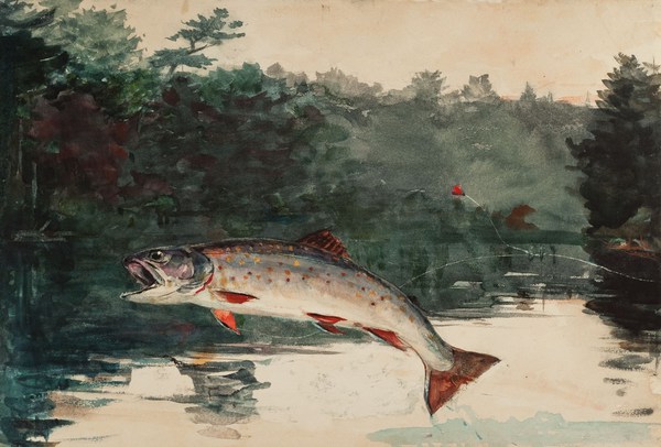 Leaping Trout. The painting by Winslow Homer