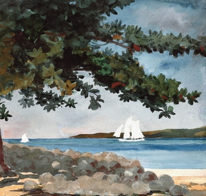 Winslow Homer, Nassau - Water and Sailboat, Painting on canvas