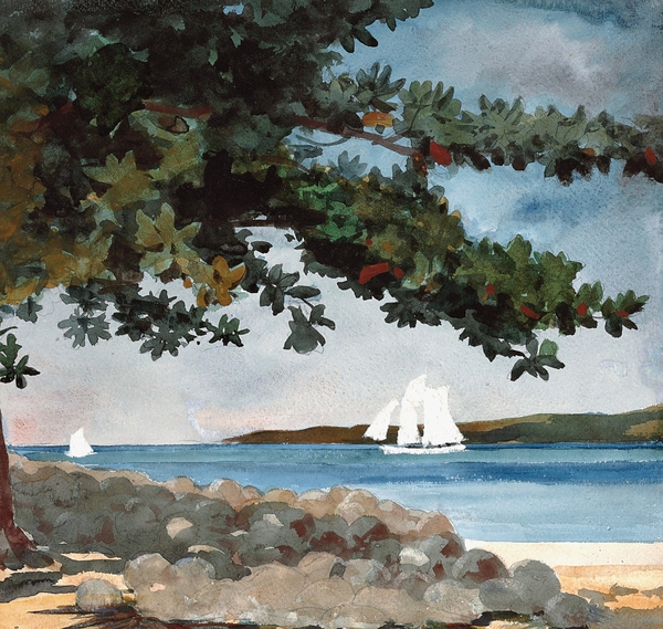 Nassau - Water and Sailboat. The painting by Winslow Homer