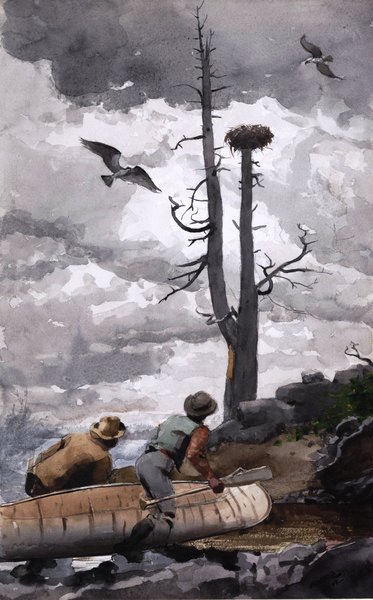 Osprey's Nest. The painting by Winslow Homer