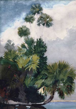 Winslow Homer, Palm Trees, Florida, Painting on canvas