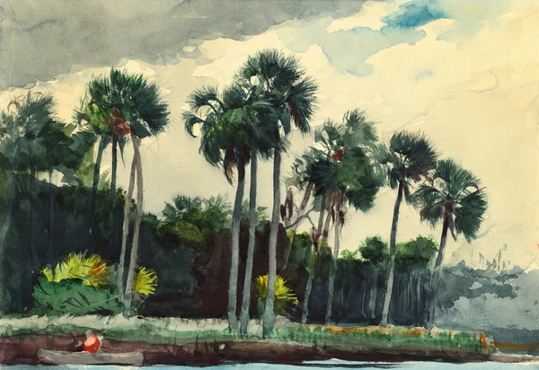Red Shirt, Homosassa, Florida. The painting by Winslow Homer