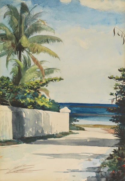 Road in Nassau. The painting by Winslow Homer
