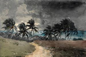 Reproduction oil paintings - Winslow Homer - Storm, Bahamas