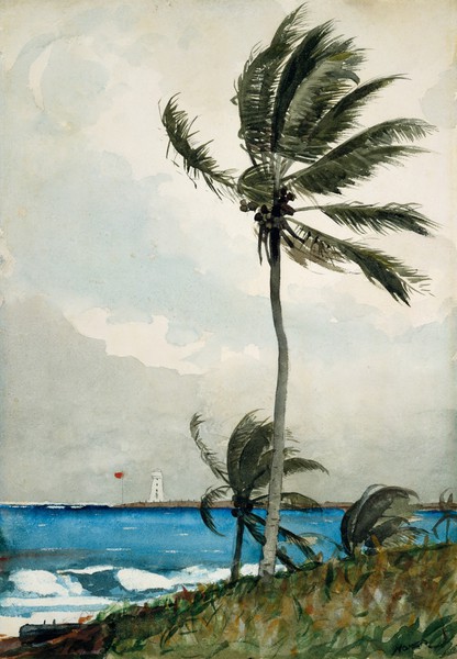 The Palm Tree in Nassau. The painting by Winslow Homer
