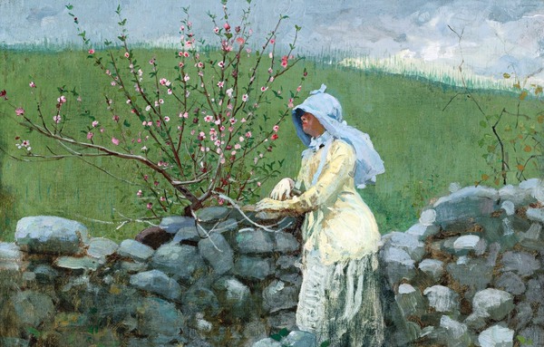 The Peach Blossoms. The painting by Winslow Homer