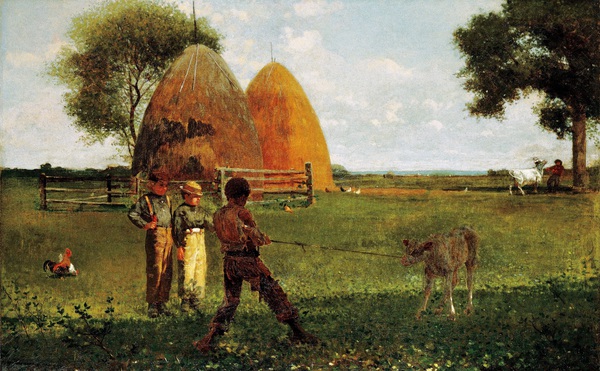 Weaning the Calf . The painting by Winslow Homer